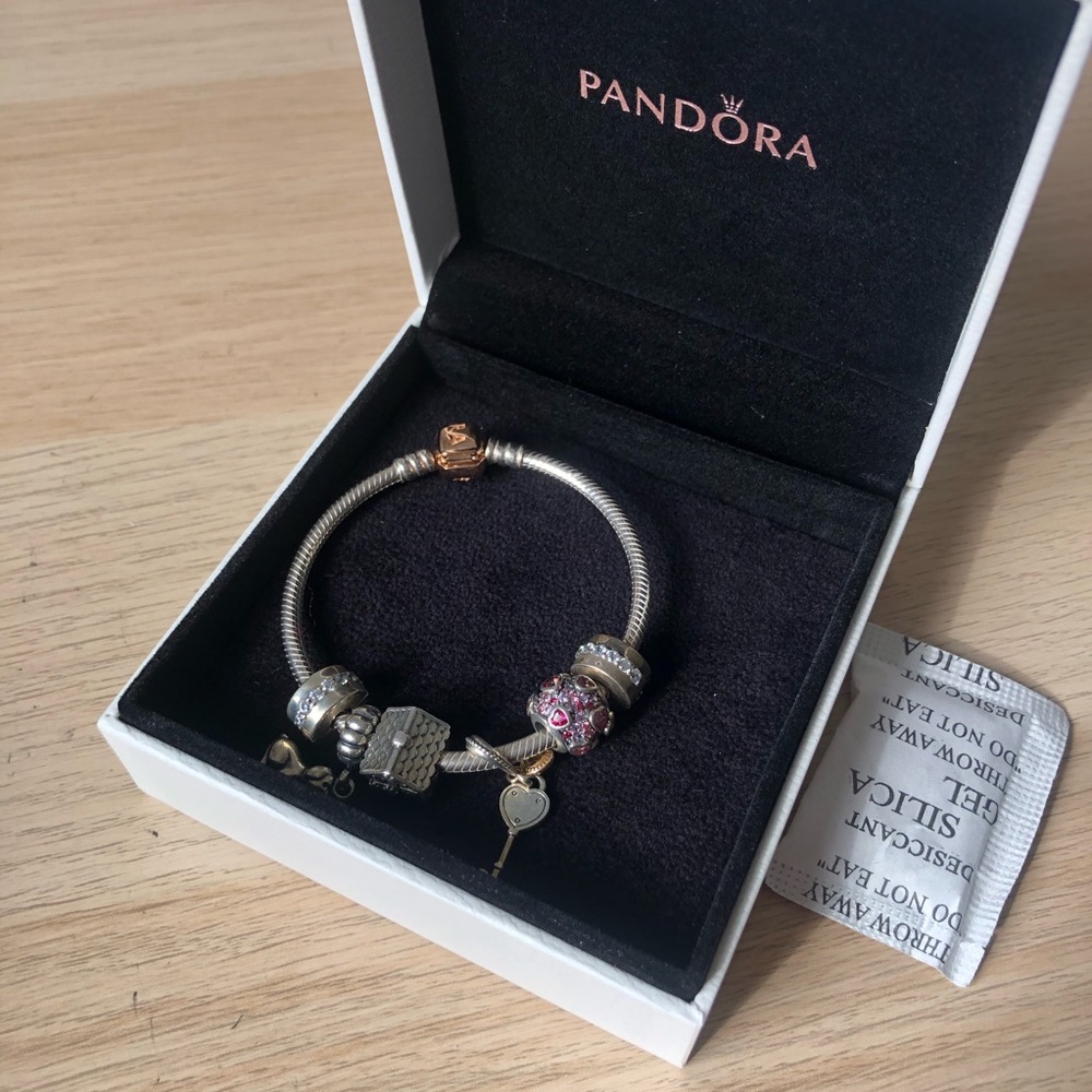 Pandora Bracelet and Charms